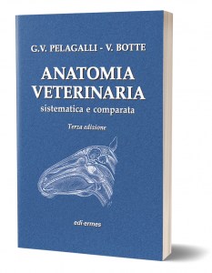 Anatomia veterinaria
